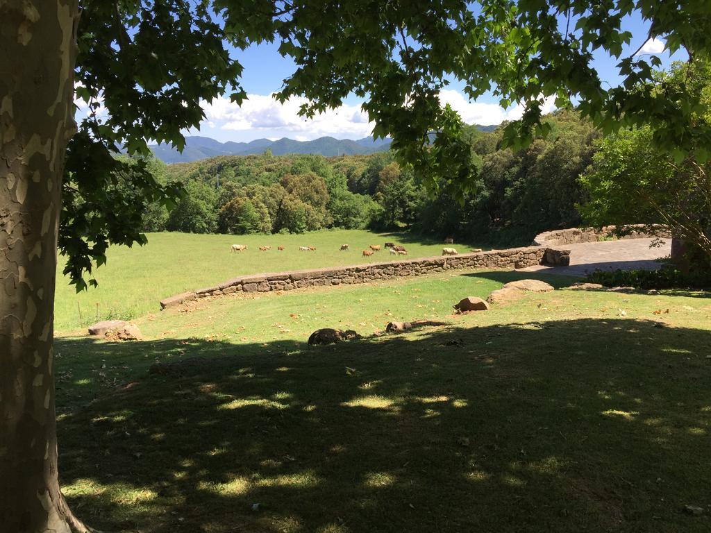 Casa Rural El Callis La Vall de Bianya Zewnętrze zdjęcie