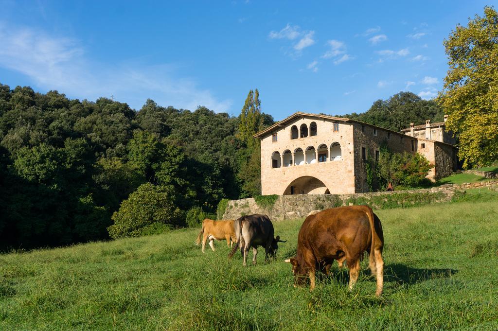Casa Rural El Callis La Vall de Bianya Zewnętrze zdjęcie